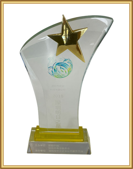 Shenzhen's Star of Tomorrow in 2018