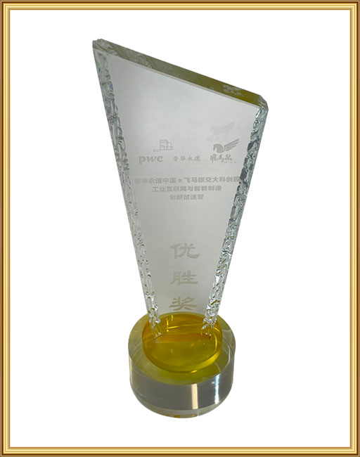 Winning Award in Innovation Acceleration Camp