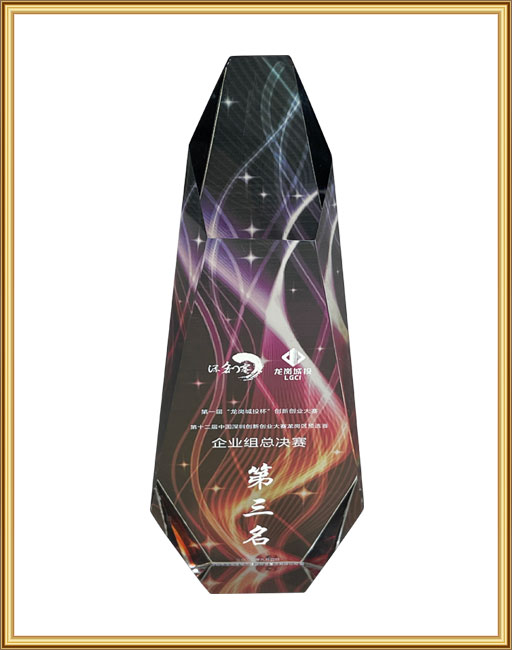 Third Place in the 1st "Longgang City Investment Cup" Innovation and Entrepreneurship Competition Enterprise Group Finals